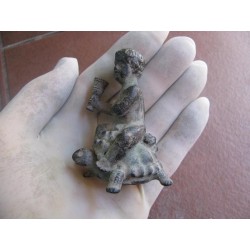 AMORCILLO SOBRE TORTUGA