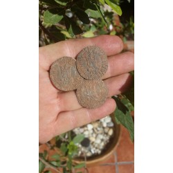 REAL DE PLATA DE BEATRIZ